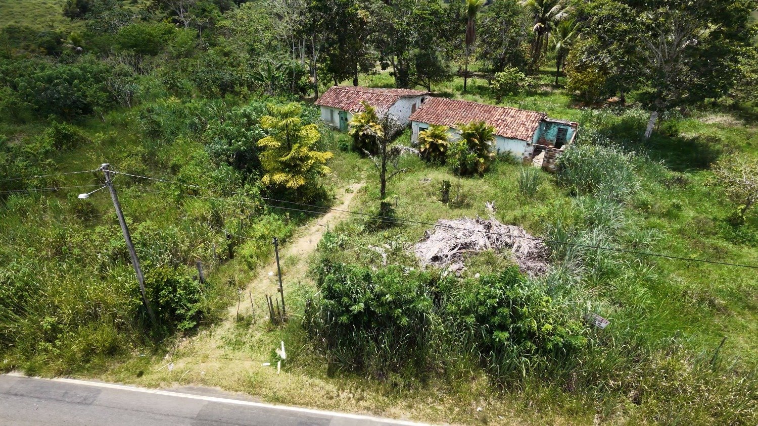 SÍTIO À VENDA - PRÓXIMO A ENTRADA DE SANTANA